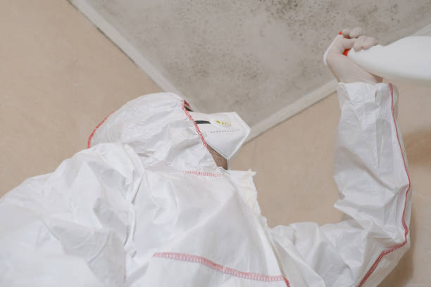 Best Commercial Mold Removal  in Kalaheo, HI